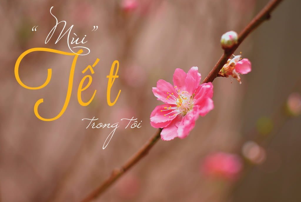 Bánh Mì Chả Cá Má Hải