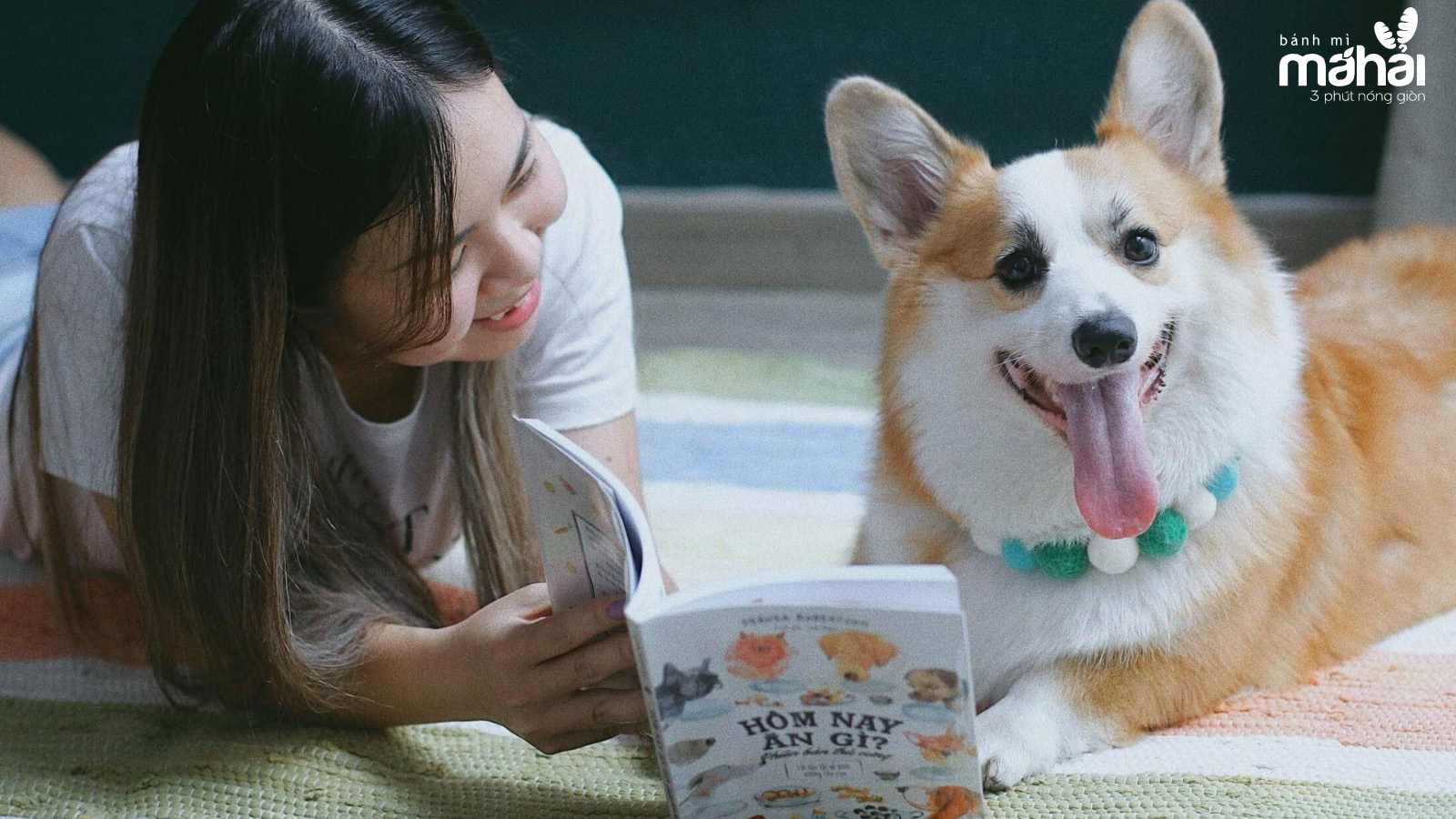 Chăm sóc thú cưng cũng là một oại dịch vụ được nhiều người quan tâm. (Nguồn ảnh: Internet).