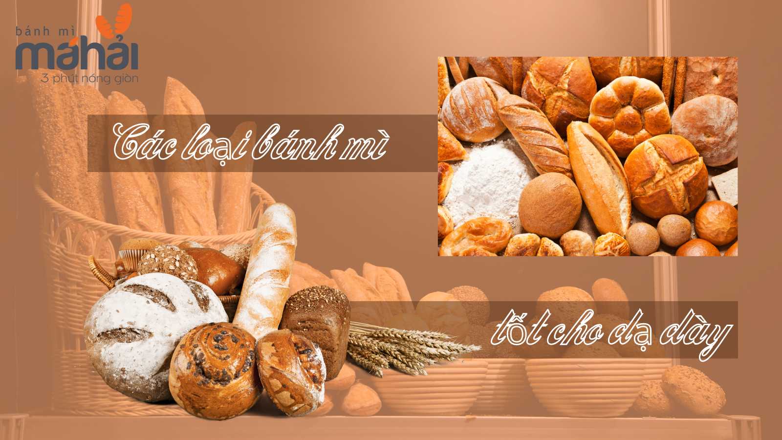 ĂN SÁNG NÊN ĂN CÁC LOẠI BÁNH MÌ NÀO SẼ TỐT CHO DẠ DÀY? 1 Ăn sáng nên ăn các loại bánh mì nào sẽ tốt cho dạ dày là thắc mắc của nhiều người. (Nguồn ảnh: banhmimahai)