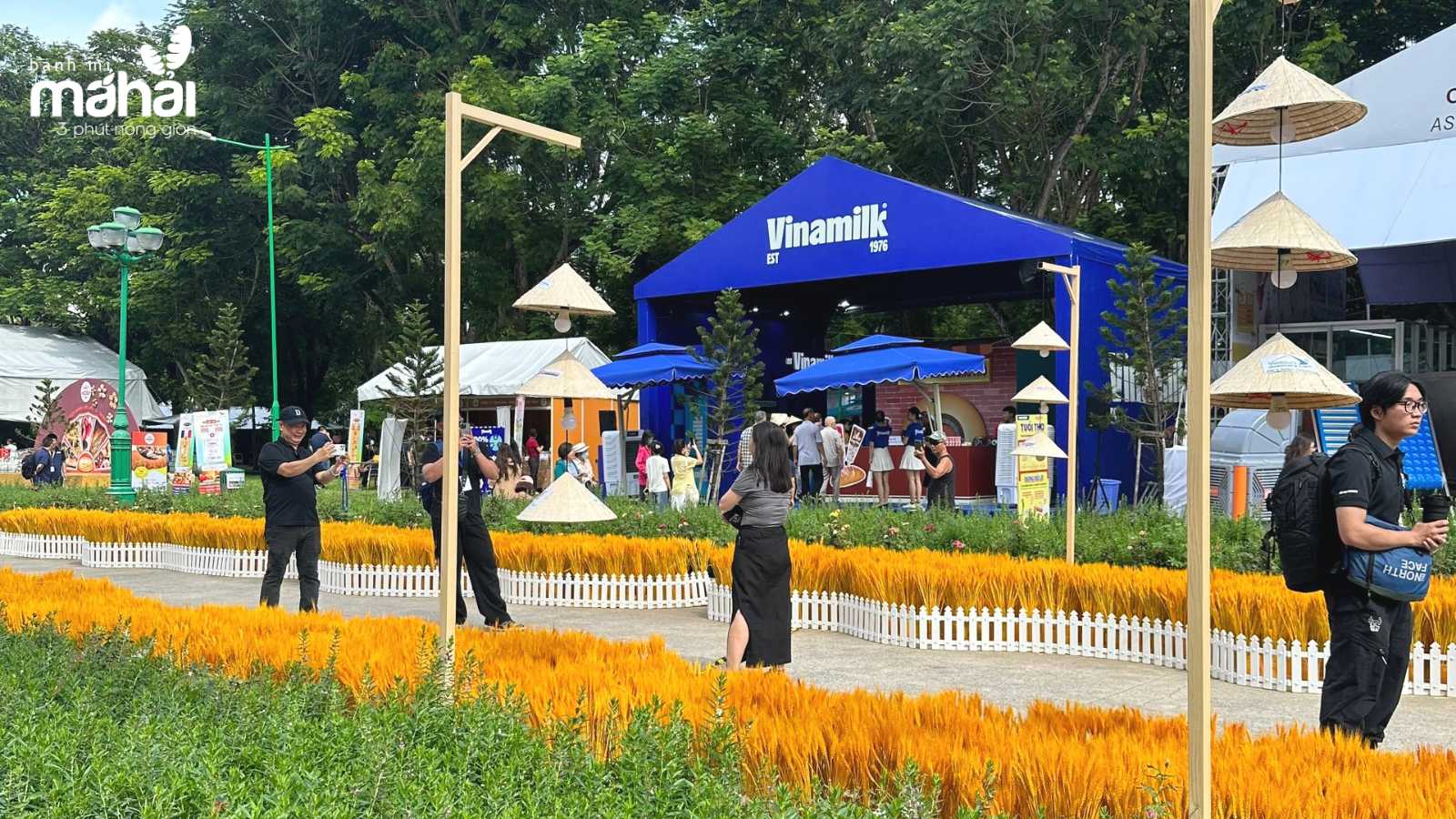 Lễ hội Bánh mì Việt Nam lần 2 năm 2024 với tiểu cảnh tựa như cánh đồng lúa mì. (Nguồn ảnh: banhmimahai)